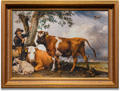 Schijtbeleid